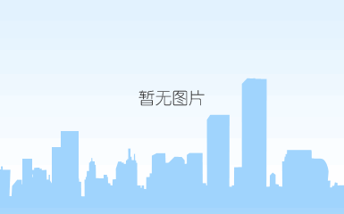 2-膦酸丁烷-1,2,4-三羧酸pbtca